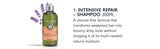 Aromachologie Intensive Repair Shampoo by LOccitane for Unisex - 10.1 oz Shampoo