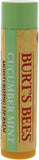 Cucumber Mint Moisturizing Lip Balm by Burts Bees for Women - 0.15 oz Lip Balm - Pack of 6