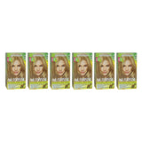 Nutrisse Nourishing Color Creme - 80 Medium Natural Blonde by Garnier for Unisex - 1 Application Hair Color - Pack of 6