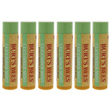 Cucumber Mint Moisturizing Lip Balm by Burts Bees for Women - 0.15 oz Lip Balm - Pack of 6