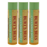 Cucumber Mint Moisturizing Lip Balm by Burts Bees for Women - 0.15 oz Lip Balm - Pack of 3