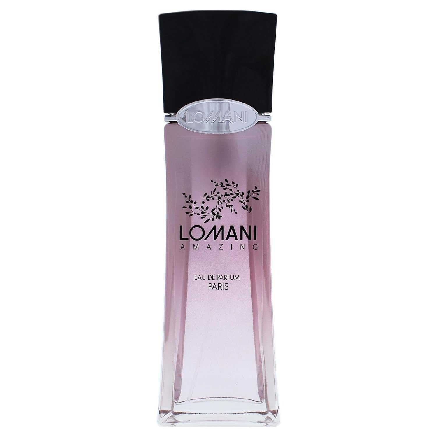 Lomani Amazing by Lomani for Women - 3.3 oz EDP Spray