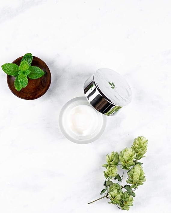 PureActive Purifying Night Cream - Mint by Villa Floriani for Unisex - 1.69 oz Cream